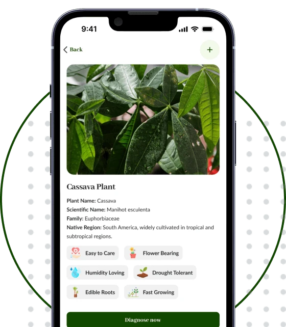 App Feature